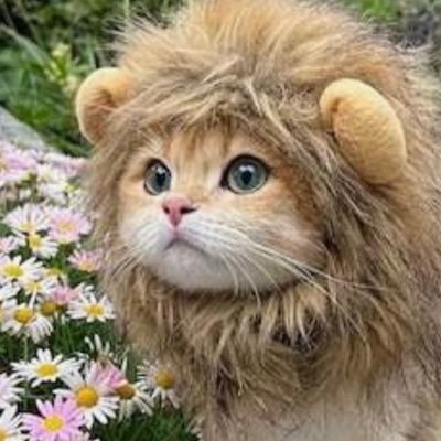 miholove12345's profile picture