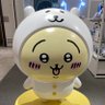 うり's profile picture