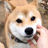 Kyungwoo's profile picture