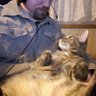 Profilbild von BlackCheckShirt