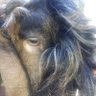Tio Pio's profile picture
