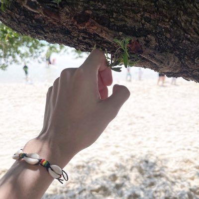 แกน่ะเก่ง's profile picture