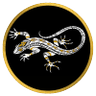 Lagarto Blanco's profile picture