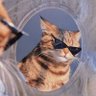 Profilbild von ParaBellum