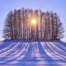 Shubh Joshi's profile picture