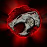 EliasFernandez-Niño's profile picture