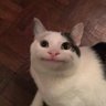 민현 톰얌 profil fotoğrafı