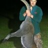 David Williams's profile picture