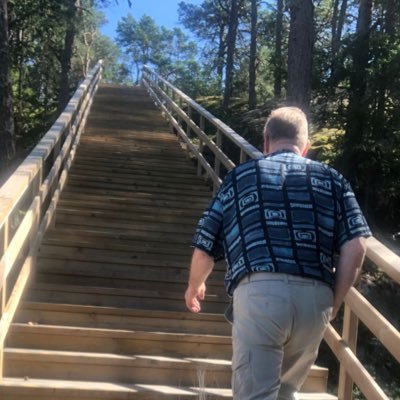 Nuorsuomalainen nupisee's profile picture