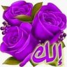 غريب في وطني's profile picture
