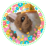 もこちゃん9さい's profile picture