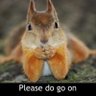 Cindy A's profile picture