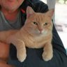 Lolo Laurent 🐈⬛🐈⬛🐈⬛🐈🐈 😺 profil fotoğrafı
