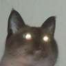 Profilbild von Luam