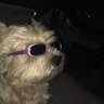 Profilbild von 𝖇𝖔𝖓𝖊𝖘