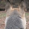 Yo profil fotoğrafı