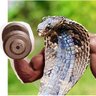 Bolter profil fotoğrafı