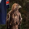 Ito53's profile picture