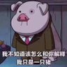 一只凯凯's profile picture