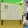 Elon Musk-Adjacent profil fotoğrafı