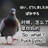 龙魂 profil fotoğrafı