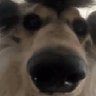 sdasddsdssdsdsa's profile picture