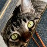 Profilbild von Shelly