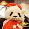 長井かおり's profile picture