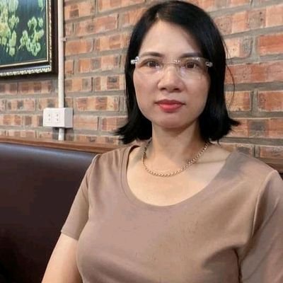 Môi Giới Máy Bay's profile picture