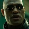 Profilbild von Mandate Red Pills!