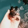ยุว-hoo! profil fotoğrafı