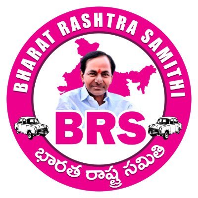 BRSParty_News's profile picture