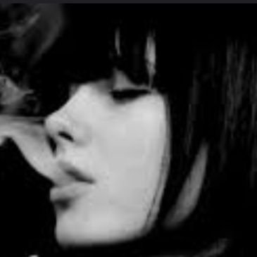 arghwanarghavan's profile picture