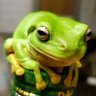 Savco's profile picture