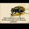 Andesaku's profile picture