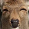 Фото профиля じゃがいも