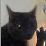 dabloon profil fotoğrafı