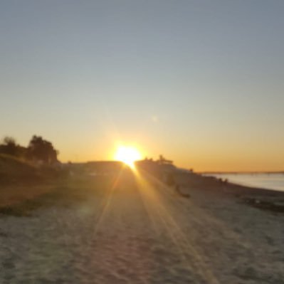 Marcelo82460275's profile picture