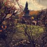 Фото профиля عبدالرحمن