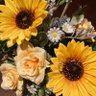 Фото профиля ちょこりんこ🌻GttT