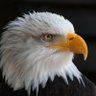 J. B. Eagle profil fotoğrafı