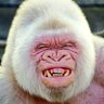 Profilbild von japra