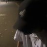 ココネ 的头像
