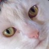 PhilN's profile picture