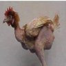 Lon scouser 的头像
