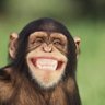 Profilbild von Tree L Puding