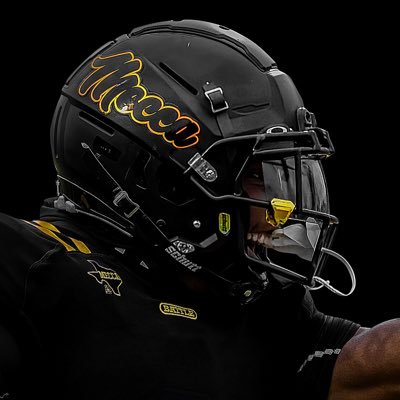 SOCGoldenBearFB's profile picture