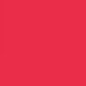 PI NETWORK π's profile picture
