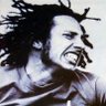 Le Tallec Valentin's profile picture