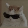 sr_pizza230's profile picture